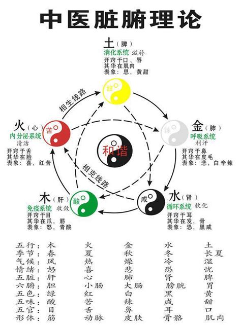 陰陽二氣|中醫基礎/氣一元論、陰陽學說、五行學說的關係